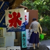 夏の想いで