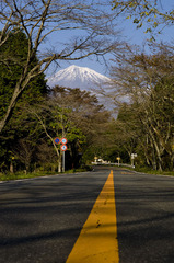 富士山へ・2009
