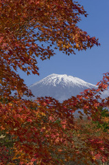 富士山の旅・2009