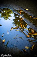 カメラ買ったばかり時練習した写真