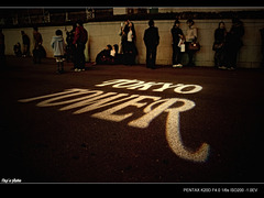 これも去年撮った