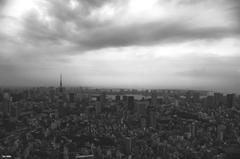 森ビルから。。