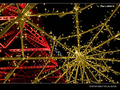 これって、何？：）