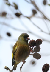 顔つき　悪いね