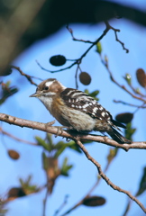 動いちゃ　ダメ・・・よ