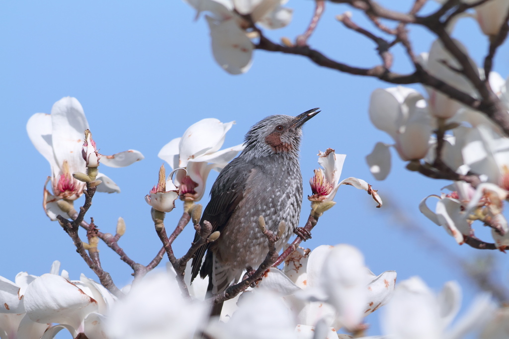 美味しい　誰もいないし～～