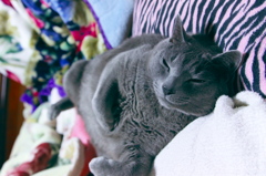 仰向けでマクラ