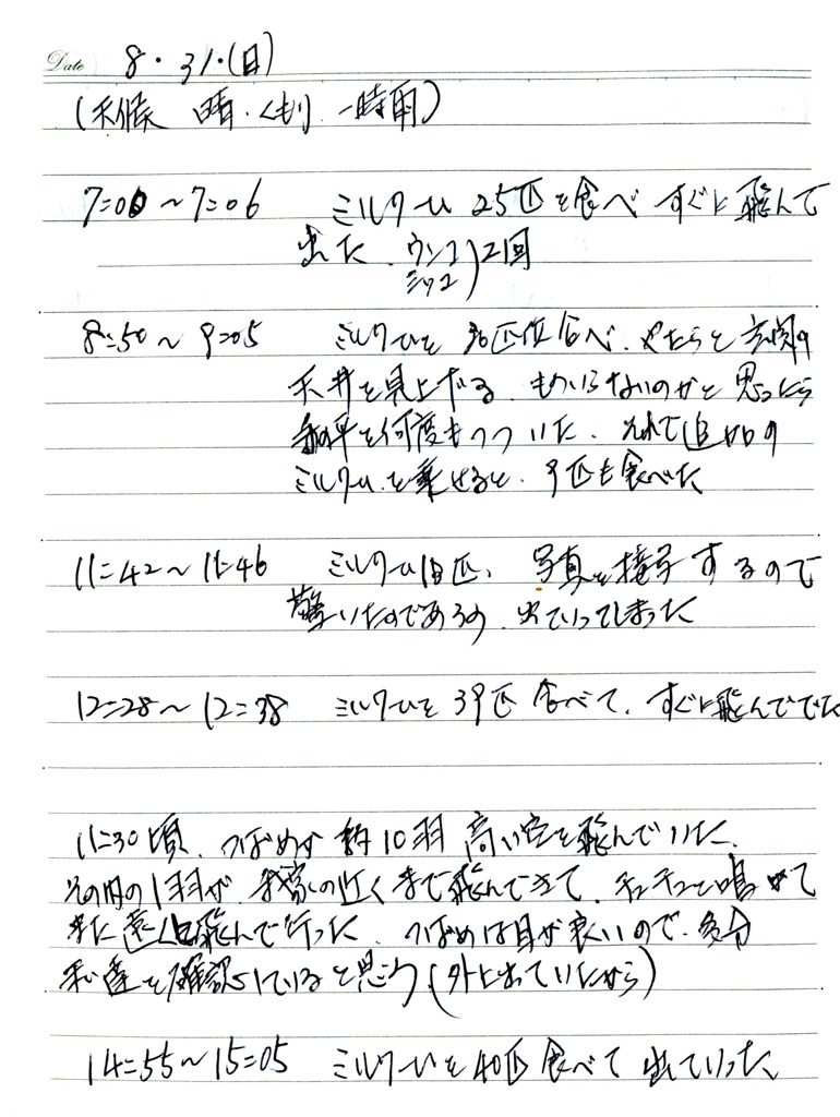旅立ち日記