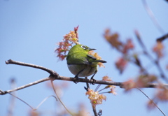 右向いて　安全「よし」