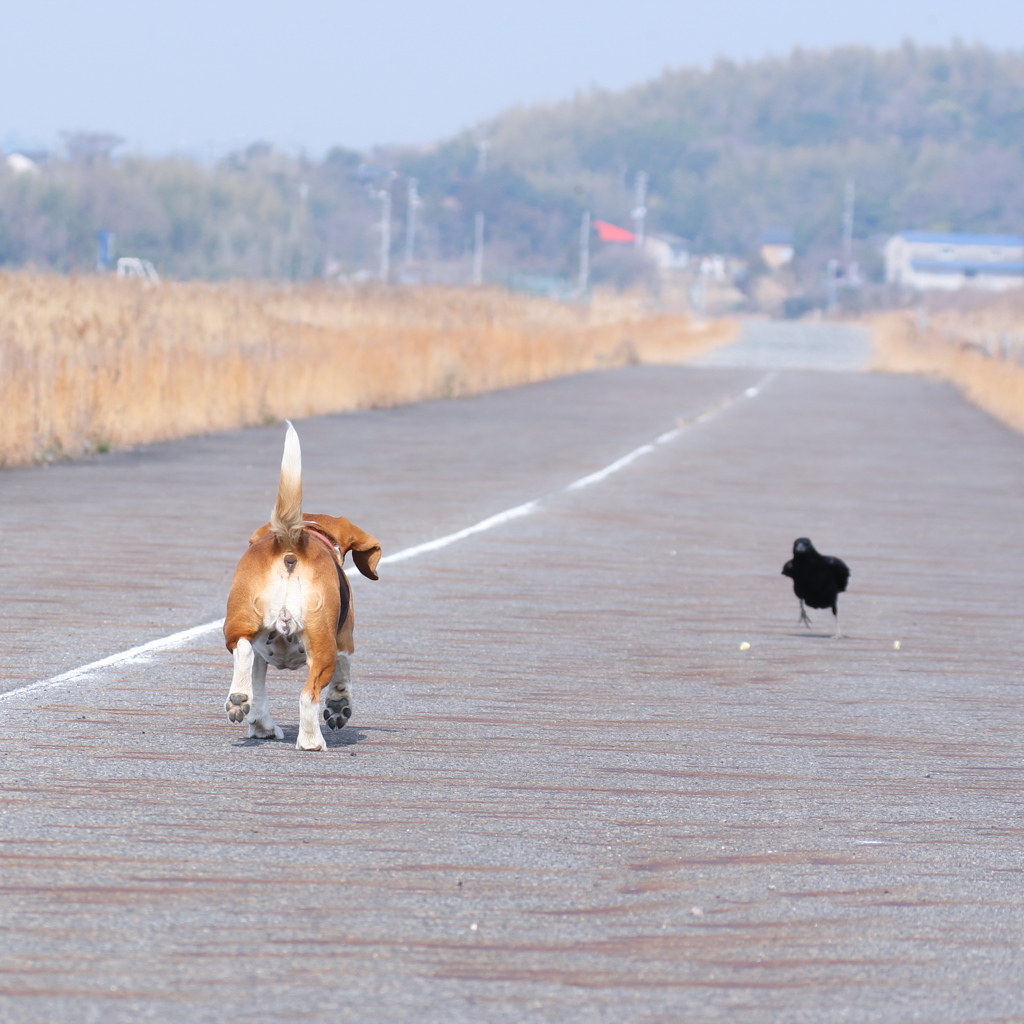 舞ちゃん　がんばれ～～♪♪