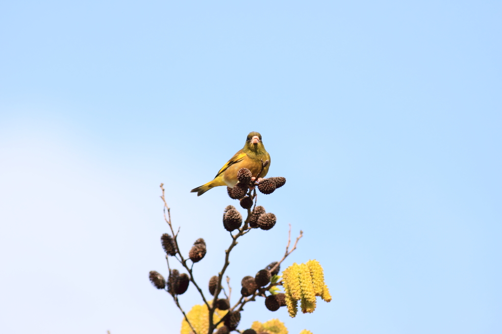 見晴らし　抜群