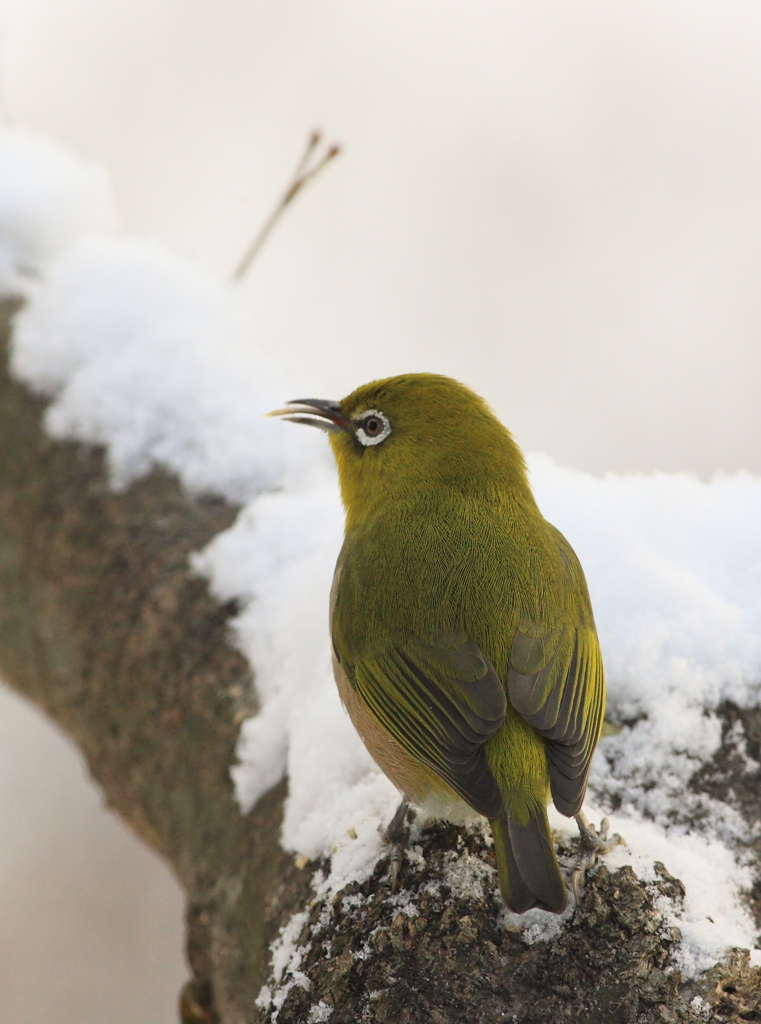 宝探し～さあ　掘るぞ～～♪♪