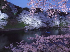 千鳥ヶ淵