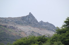 山