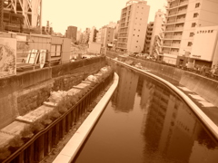スカイツリー横の川