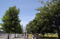 Y150博跡地