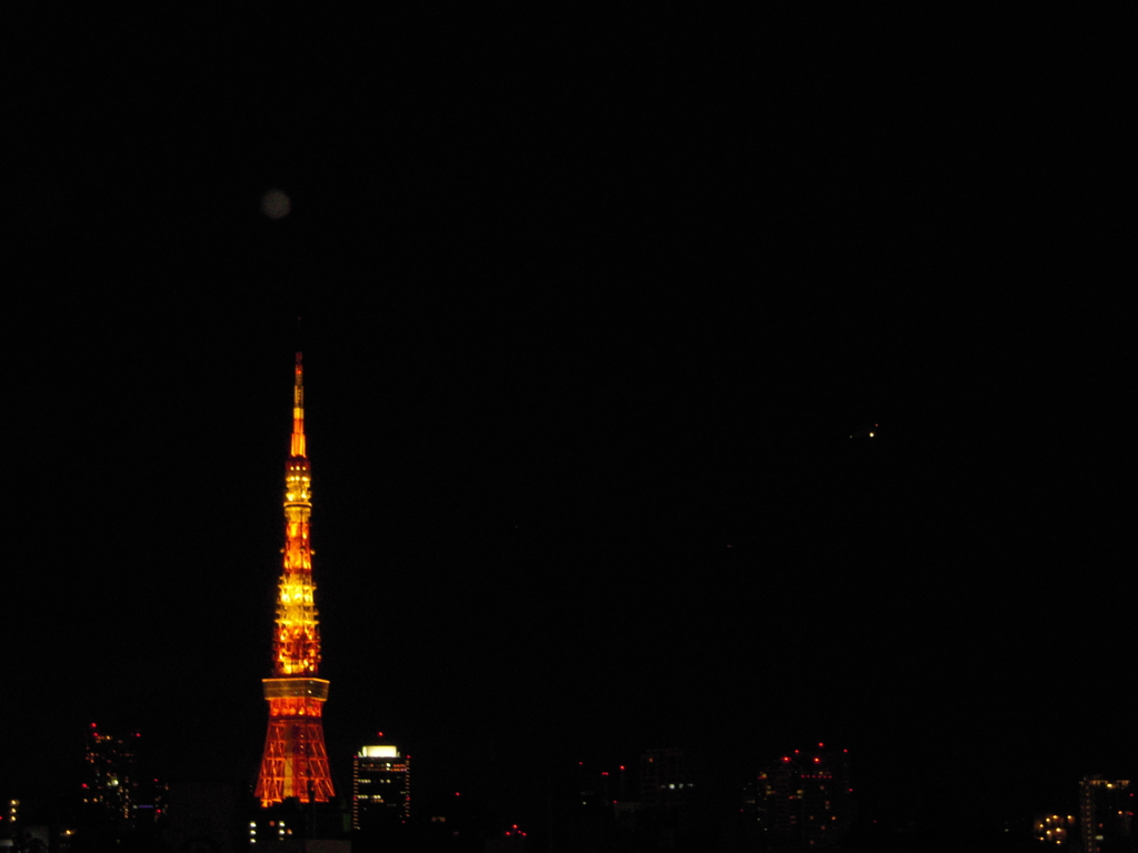 ヒルズからの東京タワー