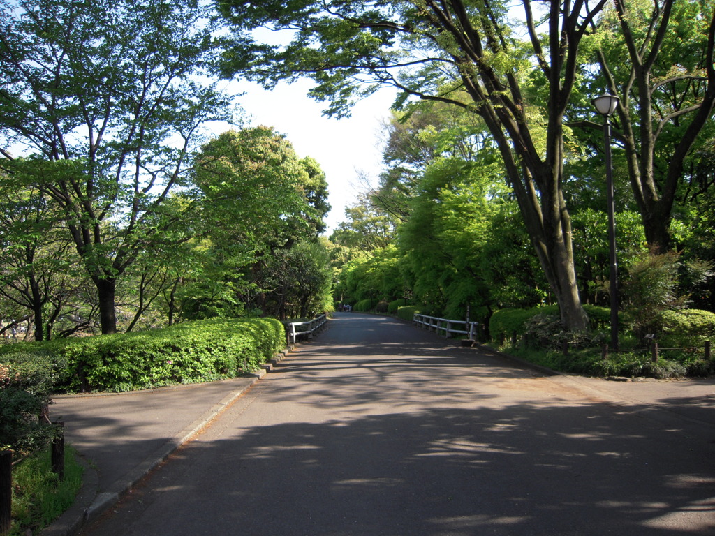 武道館近くの公園