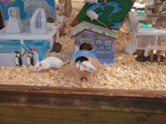 ねずみーらんどｗ