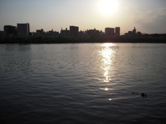 多摩川