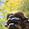 ウ゛ー