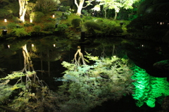 晩秋の水面