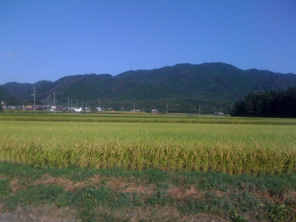 通勤路