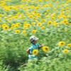 駆けぬけた夏の日