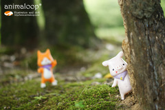 だるまさんが転んだ？