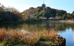 三渓園‐紅葉
