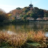 三渓園‐紅葉