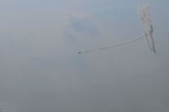 DSC_8431PN