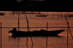 夕照２