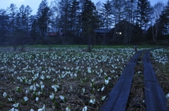 山小屋のともし火