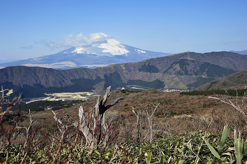 神山登山道３