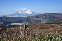 神山登山道３