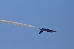 DSC_8463IV