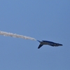 DSC_8463IV