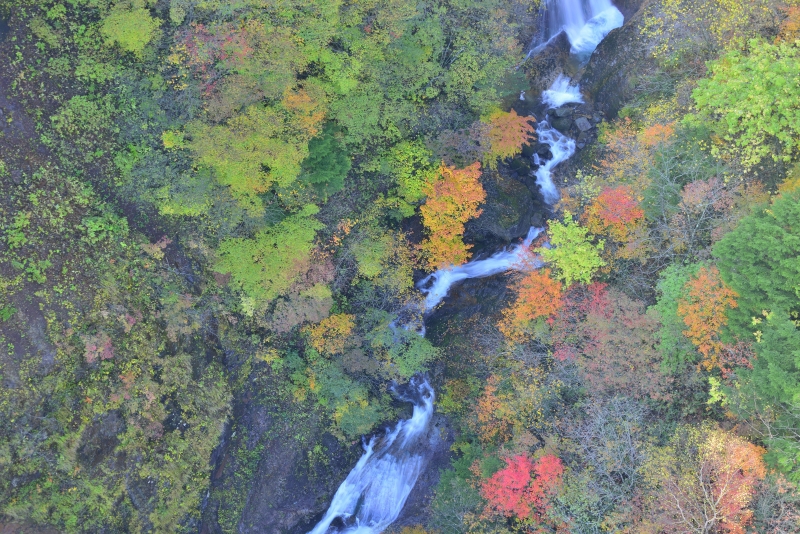 渓谷の紅葉