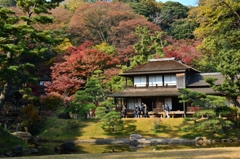 三渓園‐紅葉