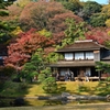 三渓園‐紅葉