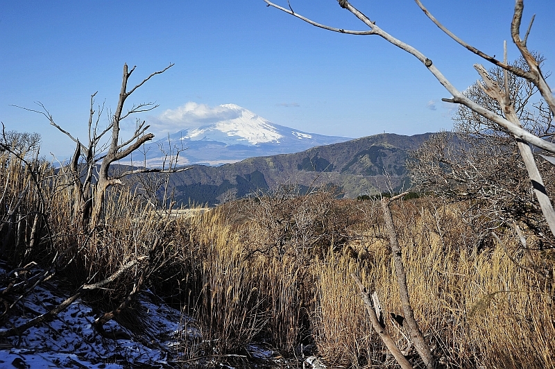 神山登山道２