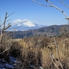 神山登山道２
