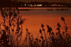 夕照３
