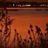 夕照３