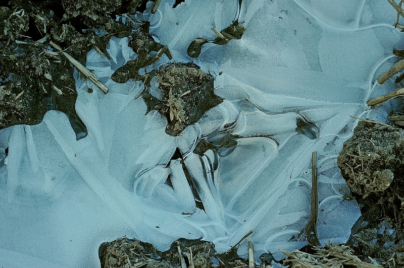 氷の文様８