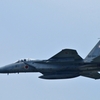 DSC_8486PN