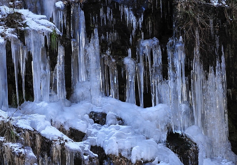 _DSC7148