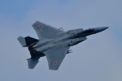 DSC_8484PN