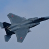 DSC_8484PN